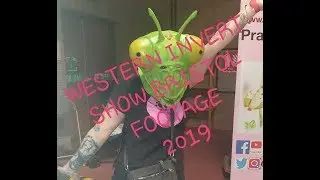 WESTERN INVERT SHOW BRISTOL FOOTAGE 2019
