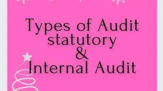 Types of Audit - Statutory and internal audit