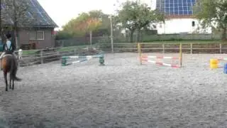 die Springm&auml;use von Sotzbach