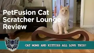 Когтеточка для кошек PetFusion &mdash; идеально подходит для вашей кошки?