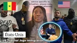 Live USA immigration (iba) des immigres aux Etats unis
