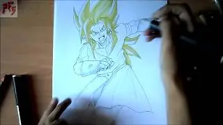 Dragon Ball Wrath:  Brogeto