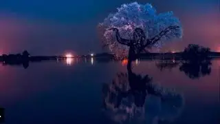 موسيقى هادئة للاستراخاء والنوم مع صور للطبيعة❤️