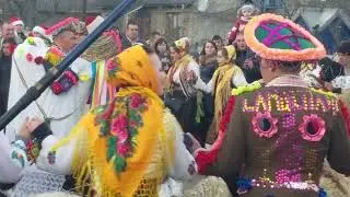 Calu Satul Nou 2018 Маланка Горбова