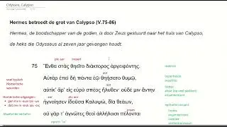 Odyssee 5.75-86