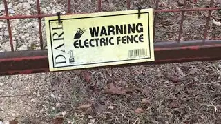 Keep Stray Dogs Off Your Property - How To Predator Proof A Gate