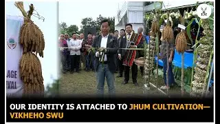 Chünyi Festival: Kezoma village brings back millets with government support