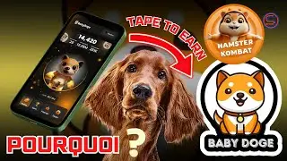 Pourquoi BABY DOGE COIN veut lancer une mini-application TAP TO EARN comme HAMSTER KOMBAT ?