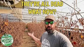 A BITTERSWEET DAY ON OUR OHIO VEGETABLE FARM