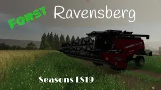 Andy bei der Arbeit/Forst Ravensberg/Simulator/LS19/FS19/m.kl.Streampausen