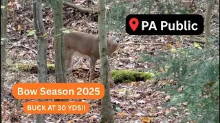 PA Archery Season 2025 - Ep. 3 Passed Opportunities and another Young Buck Encounter!