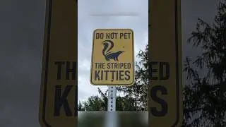 Good luck with these funny signs! #signfail #funnysigns #trynottolaugh