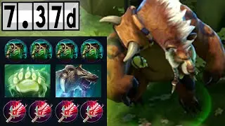 Lone Druid -  Mid Lane VS. Broodmother  [Full Match Gameplay Dota 2] 7.37d