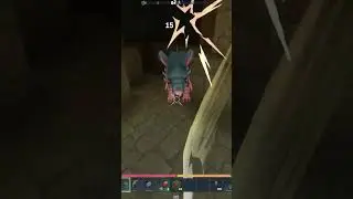 Fat Ass Rats #hytale #hytalegameplay #gaming