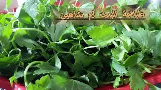 طريقة احتفاظ بلكرافس والمعدنوس والكسبرة  ❤