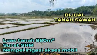 Dijual Tanah Sawah Nempel irigasi LT±980m² Surat  SHM Air sangat melimpah Lok  jasinga bogor barat 