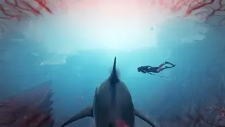 Maneater Gameplay - KILL COMPILATION (No Commentary)