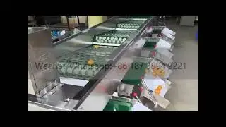 Vegetable Sorting Grading Machine Potato Onion Tomato Lychee Blueberry apple Size Sorting Grader