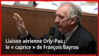 Liaison a&eacute;rienne Orly-Pau : le &laquo; caprice &raquo; de Fran&ccedil;ois Bayrou