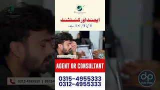 Role of Agent Or Consultant in Visa Processing | FK Visa Consultant