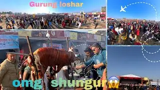 Gurung Loshar 2082 Manudai Kathmandu tudikhel.....🥰🥰🥰