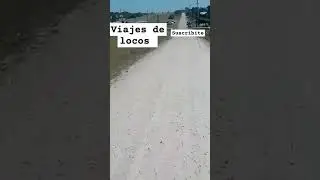 Viajes de locos 😉🌞🏔️ #bike #cicloviaje #bicicleta #ciclismo #bicicletando #mtb #dogpacking