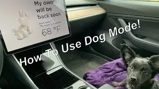 How To Use Tesla's Dog Mode!