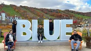 Blue Mountain, maple leaves, mountain coaster/ 加拿大藍山賞楓、無動力過山車！