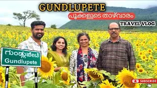 GUNDLUPETE : FLOWER POT OF INDIA  #gundlupete #travelvlog #sunflowerfield #flowers #explorepage 