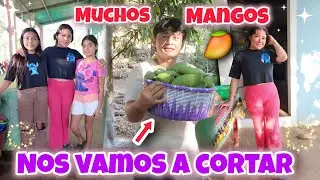 FUIMOS A CORTAR MUCHOS MANGOS 🥭 DE CUMA MIREN QUE LINDA ANDA CAMILA 