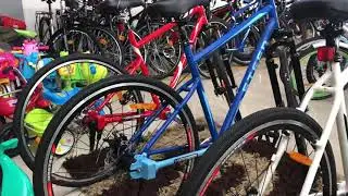 the cycle has no chain