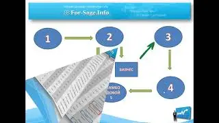5 шагов Системы FOR SAGE INFO