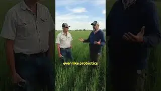 How Easy Is It?