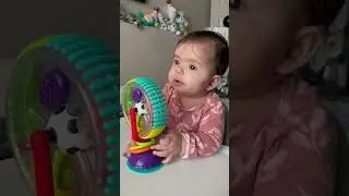 Sassy Wonder Wheels - #stayhomedads #toys #spinningwheel #stayhomedads #music  #cutebaby
