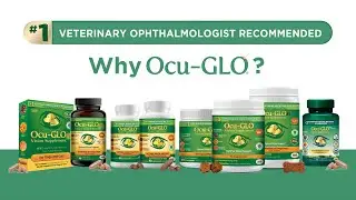 Support your pet&rsquo;s vision before eye problems arise #ocuglo #healthyeyes