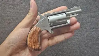 NAA22 Modelgun
