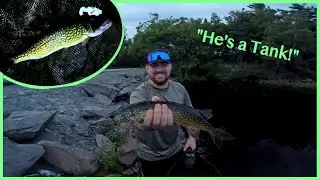 Catching Monster City Pickerel (Urban Anglers Vol  III) - Nova Scotia Fishing