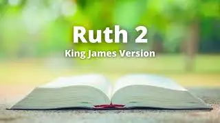 Ruth 2 - King James Version (Audio Bible)