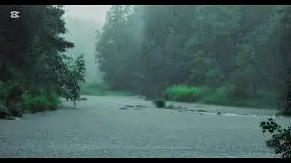 Steady Rain Sounds on Window (No Music) ~ Cozy Rain for Deep Sleep, Studying and Focus