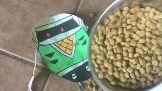 HBHP: Heavy Shinobi&rsquo;s Pet
