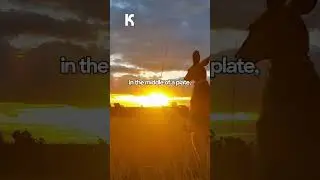 Why is Australia&rsquo;s landscape so strikingly flat? Learn more on about Australia on Part-Time Genius!