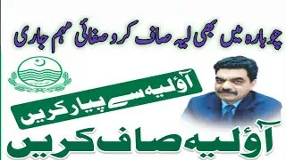 layyah clean and green program...