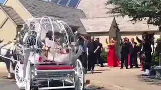 Horse and Carriage Grand Entrance