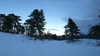 SAURDAL BALESTRAND 14.02.2025