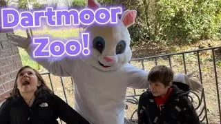 We Visited Dartmoor Zoo! | Weird Pet Cemetery | Staying In The Copthorne Hotel, Plymouth