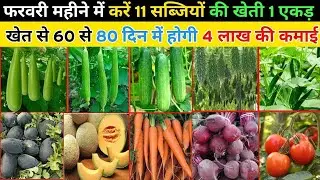 फरवरी में ये 10 सब्जियां उगाओ और बन जाओ करोड़पति | February Vegetable Farming videos 2026