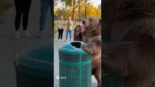 Bear caught drinking coke 🤣