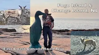2025-06-03 Fogo Island & Change Island, Newfoundland