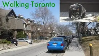 Walking Toronto's High Park North Neighbourhood 4/10/2023