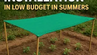 Green Net Installation in Low Budget in Summers